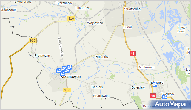 mapa Bojanów gmina Krzanowice, Bojanów gmina Krzanowice na mapie Targeo