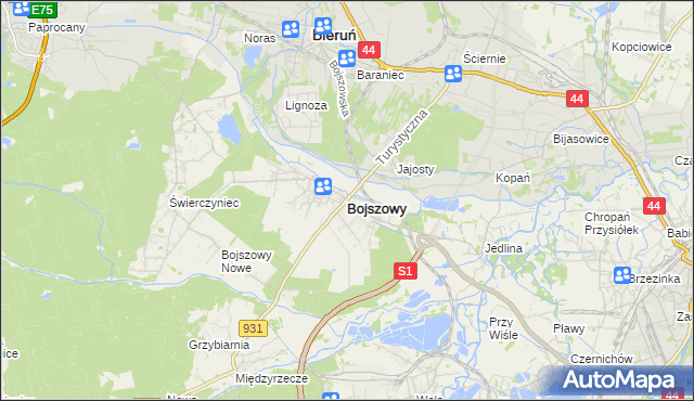 mapa Bojszowy, Bojszowy na mapie Targeo