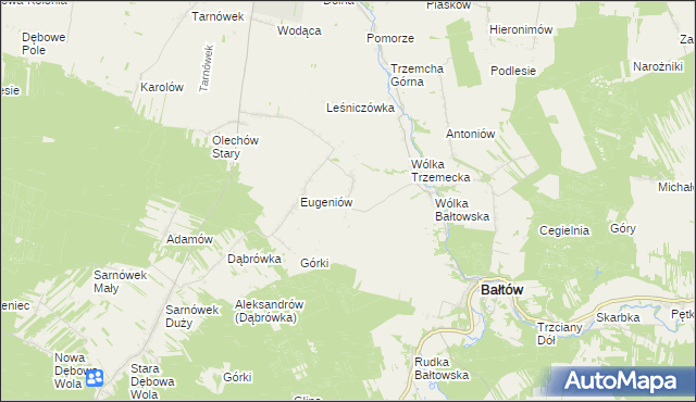 mapa Borcuchy gmina Bałtów, Borcuchy gmina Bałtów na mapie Targeo