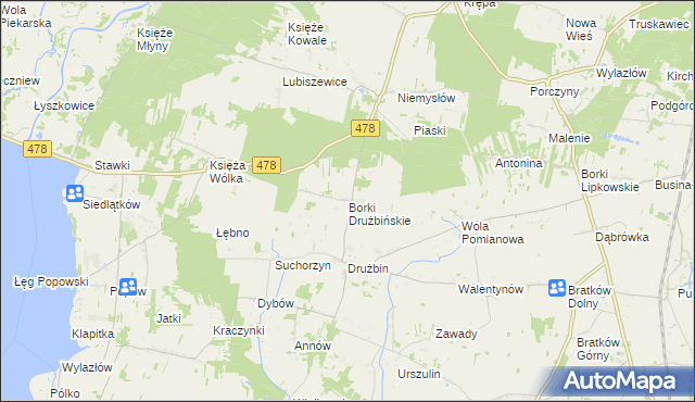 mapa Borki Drużbińskie, Borki Drużbińskie na mapie Targeo