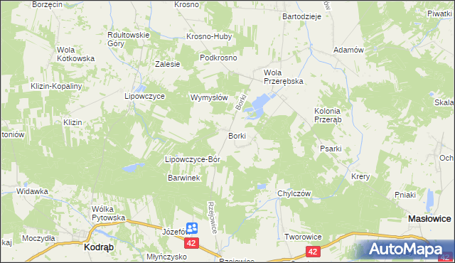 mapa Borki gmina Masłowice, Borki gmina Masłowice na mapie Targeo