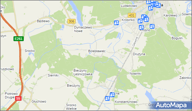 mapa Borkowice gmina Mosina, Borkowice gmina Mosina na mapie Targeo