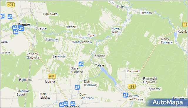 mapa Borowa gmina Miedźno, Borowa gmina Miedźno na mapie Targeo