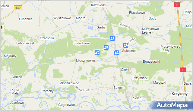 mapa Borowo gmina Krzykosy, Borowo gmina Krzykosy na mapie Targeo