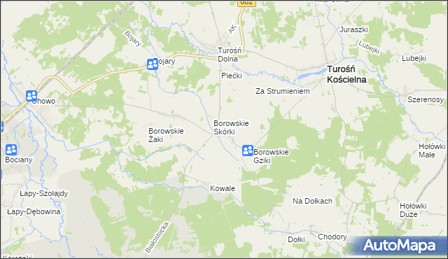 mapa Borowskie Michały, Borowskie Michały na mapie Targeo