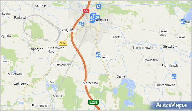 mapa Borzęcin gmina Żmigród, Borzęcin gmina Żmigród na mapie Targeo