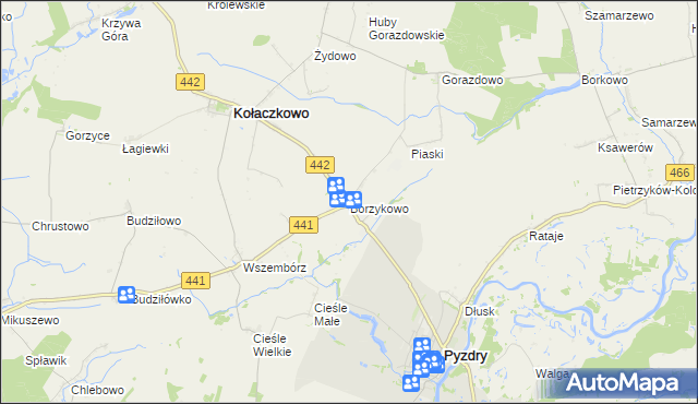 mapa Borzykowo gmina Kołaczkowo, Borzykowo gmina Kołaczkowo na mapie Targeo