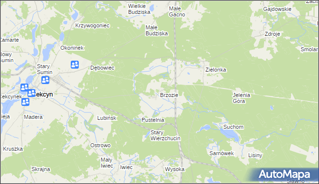 mapa Brzozie gmina Cekcyn, Brzozie gmina Cekcyn na mapie Targeo