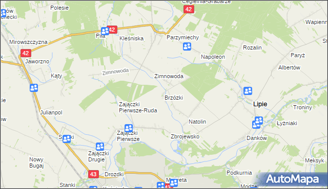 mapa Brzózki gmina Lipie, Brzózki gmina Lipie na mapie Targeo