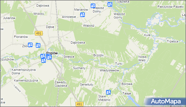 mapa Brzózki gmina Popów, Brzózki gmina Popów na mapie Targeo
