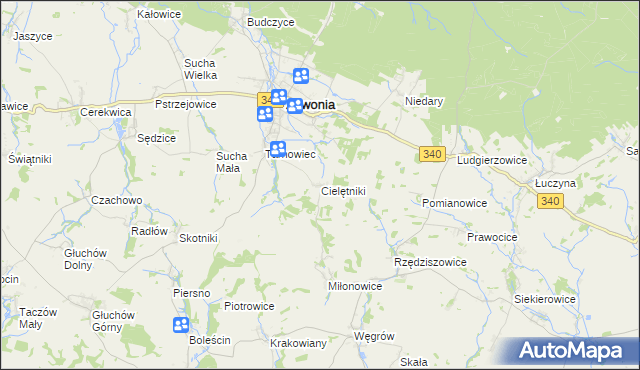 mapa Cielętniki gmina Zawonia, Cielętniki gmina Zawonia na mapie Targeo