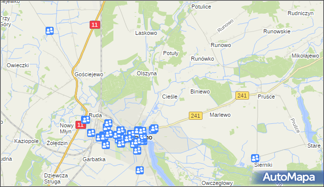 mapa Cieśle gmina Rogoźno, Cieśle gmina Rogoźno na mapie Targeo