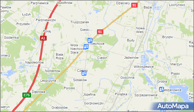 mapa Cieślin gmina Rozprza, Cieślin gmina Rozprza na mapie Targeo