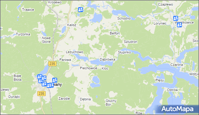 mapa Dąbrówka gmina Dziemiany, Dąbrówka gmina Dziemiany na mapie Targeo