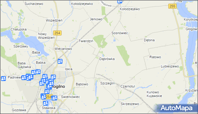 mapa Dąbrówka gmina Mogilno, Dąbrówka gmina Mogilno na mapie Targeo