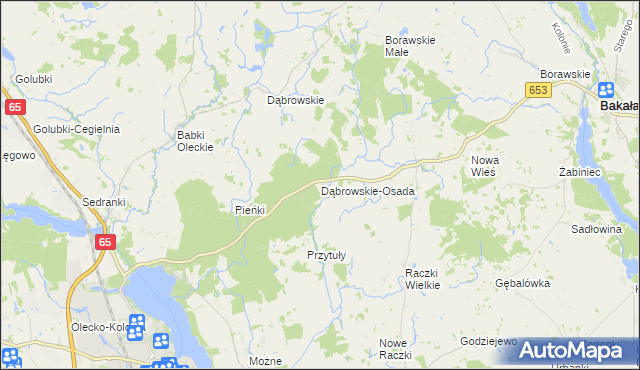mapa Dąbrowskie-Osada, Dąbrowskie-Osada na mapie Targeo