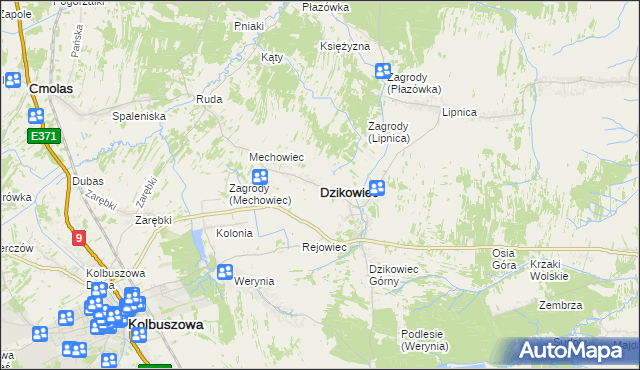 mapa Dzikowiec powiat kolbuszowski, Dzikowiec powiat kolbuszowski na mapie Targeo