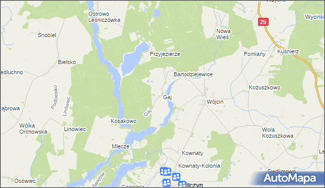 mapa Gaj gmina Jeziora Wielkie, Gaj gmina Jeziora Wielkie na mapie Targeo