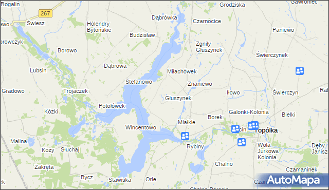 mapa Głuszynek, Głuszynek na mapie Targeo