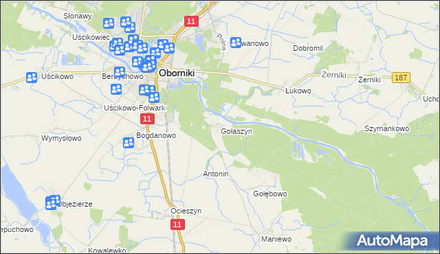 mapa Gołaszyn gmina Oborniki, Gołaszyn gmina Oborniki na mapie Targeo