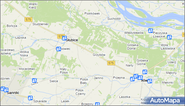 mapa Grzybów gmina Słubice, Grzybów gmina Słubice na mapie Targeo