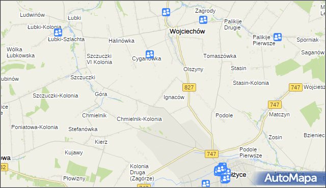 mapa Ignaców gmina Wojciechów, Ignaców gmina Wojciechów na mapie Targeo
