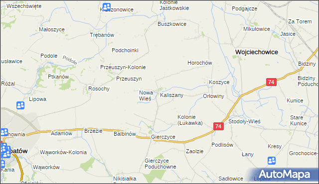 mapa Kaliszany gmina Wojciechowice, Kaliszany gmina Wojciechowice na mapie Targeo