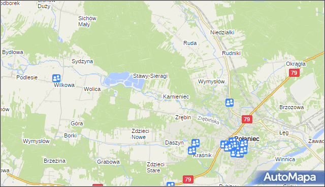 mapa Kamieniec gmina Połaniec, Kamieniec gmina Połaniec na mapie Targeo