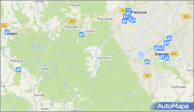 mapa Kamionki gmina Pieszyce, Kamionki gmina Pieszyce na mapie Targeo