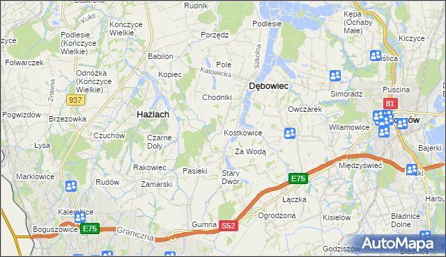 mapa Kostkowice gmina Dębowiec, Kostkowice gmina Dębowiec na mapie Targeo