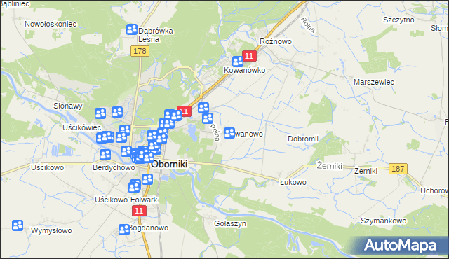 mapa Kowanowo gmina Oborniki, Kowanowo gmina Oborniki na mapie Targeo