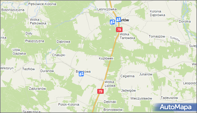 mapa Kozłówek gmina Tarłów, Kozłówek gmina Tarłów na mapie Targeo