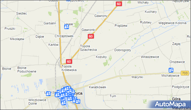 mapa Kozuby gmina Łęczyca, Kozuby gmina Łęczyca na mapie Targeo