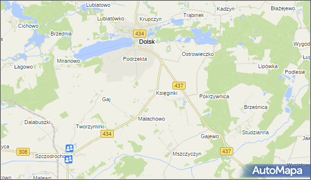 mapa Księginki gmina Dolsk, Księginki gmina Dolsk na mapie Targeo