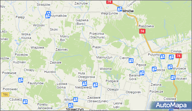 mapa Malmurzyn, Malmurzyn na mapie Targeo