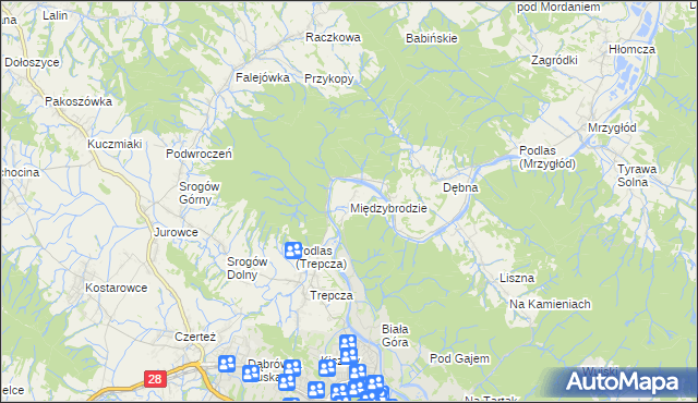 mapa Międzybrodzie, Międzybrodzie na mapie Targeo