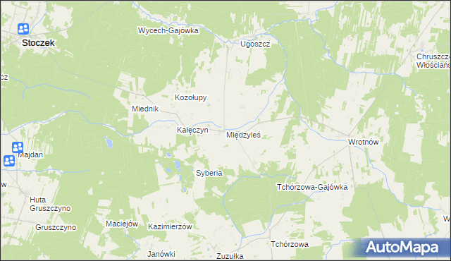 mapa Międzyleś gmina Miedzna, Międzyleś gmina Miedzna na mapie Targeo