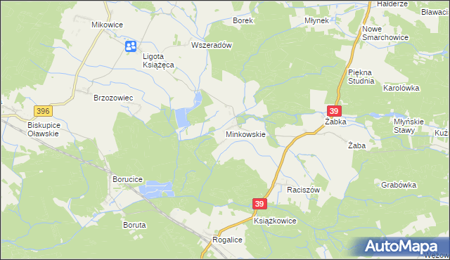 mapa Minkowskie, Minkowskie na mapie Targeo