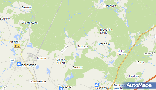 mapa Miodary gmina Dobroszyce, Miodary gmina Dobroszyce na mapie Targeo