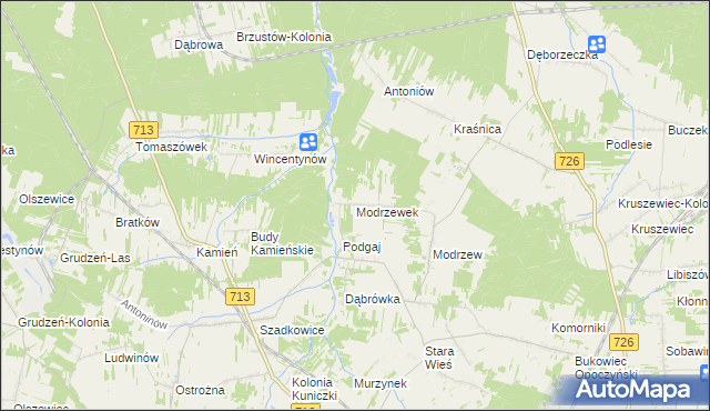 mapa Modrzewek gmina Opoczno, Modrzewek gmina Opoczno na mapie Targeo