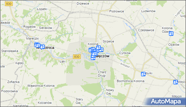 mapa Nałęczów powiat puławski, Nałęczów powiat puławski na mapie Targeo