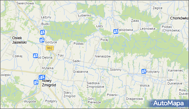 mapa Nienaszów, Nienaszów na mapie Targeo