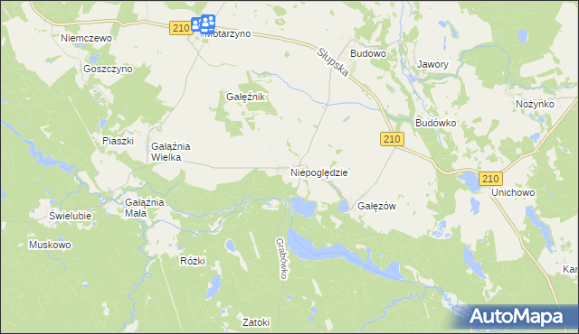 mapa Niepoględzie, Niepoględzie na mapie Targeo