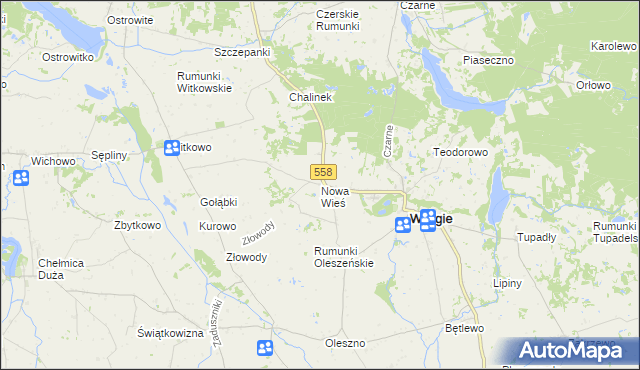 mapa Nowa Wieś gmina Wielgie, Nowa Wieś gmina Wielgie na mapie Targeo