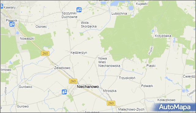 mapa Nowa Wieś Niechanowska, Nowa Wieś Niechanowska na mapie Targeo