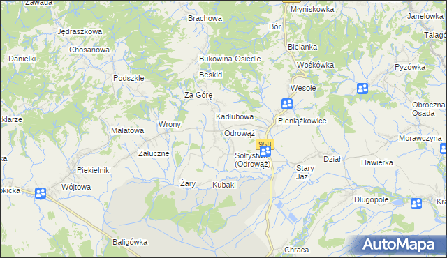 mapa Odrowąż gmina Czarny Dunajec, Odrowąż gmina Czarny Dunajec na mapie Targeo