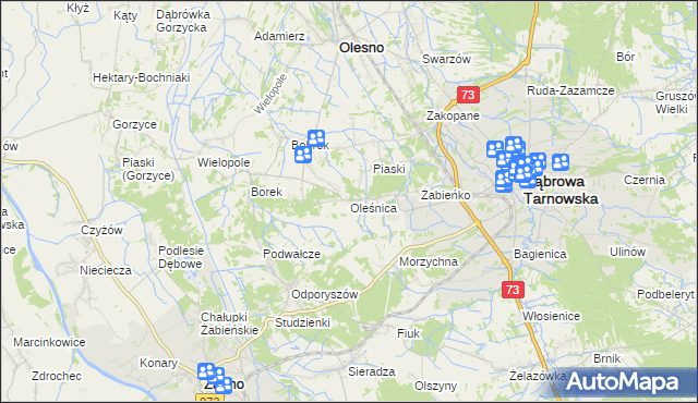 mapa Oleśnica gmina Olesno, Oleśnica gmina Olesno na mapie Targeo