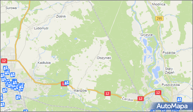 mapa Olszyniec gmina Żary, Olszyniec gmina Żary na mapie Targeo