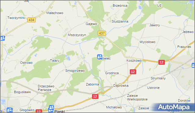 mapa Osówiec gmina Borek Wielkopolski, Osówiec gmina Borek Wielkopolski na mapie Targeo