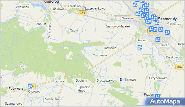 mapa Ostrolesie, Ostrolesie na mapie Targeo